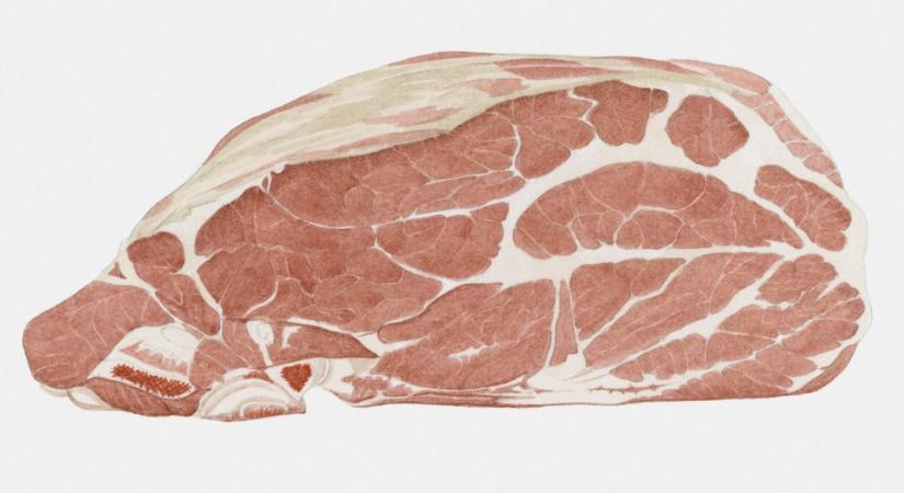 Trichinellózissal fertőzött húst árultak Pancsován
