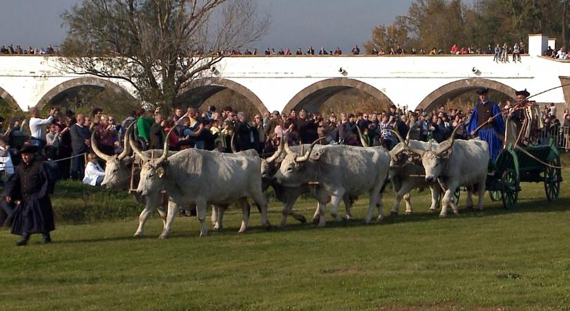 Nagy fesztivál szálai szövődnek Hortobágyon, már várják is a jelentkezőket
