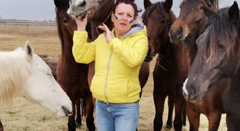 Drámai helyzet a menhelyen: több száz lovat fenyeget az éhhalál