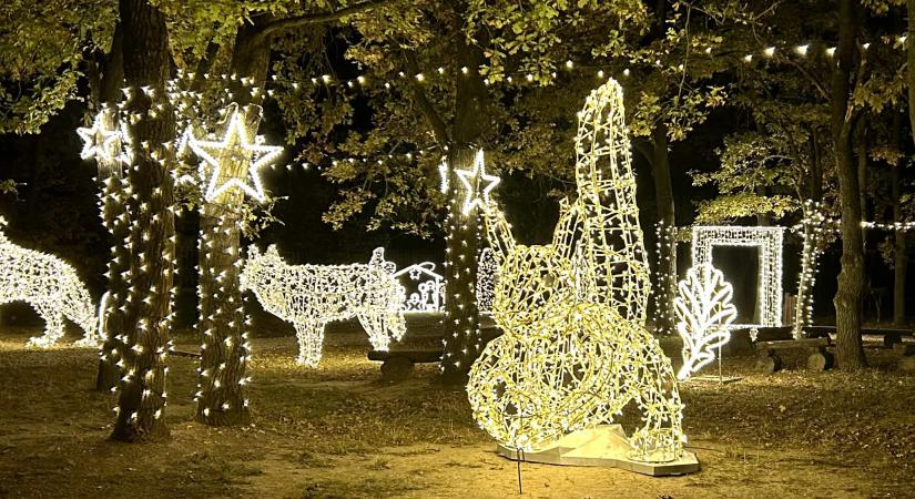 Téli fénycsodák öt városban