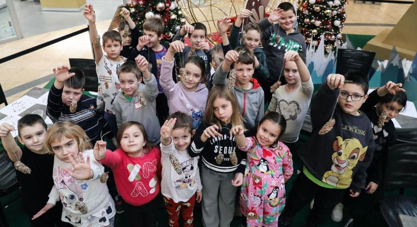 Közelebb hozzák a természetet karácsonykor is - fotók