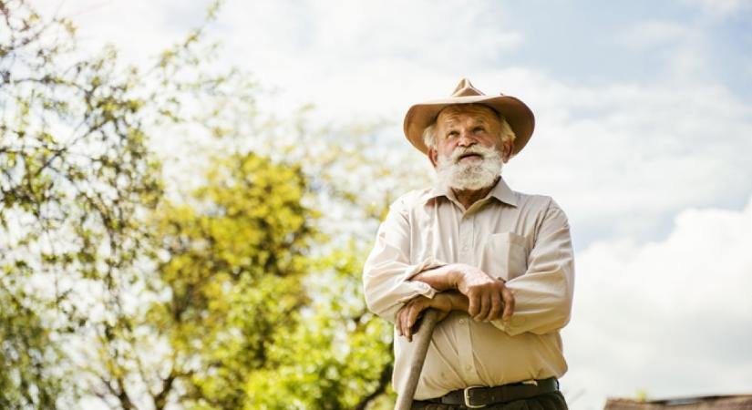 Milliókat akartak kicsalni a 85 éves nyugdíjastól, aki mesteri csapdát állított a szélhámosoknak: a fél világ az idős férfi leleményességét csodálja