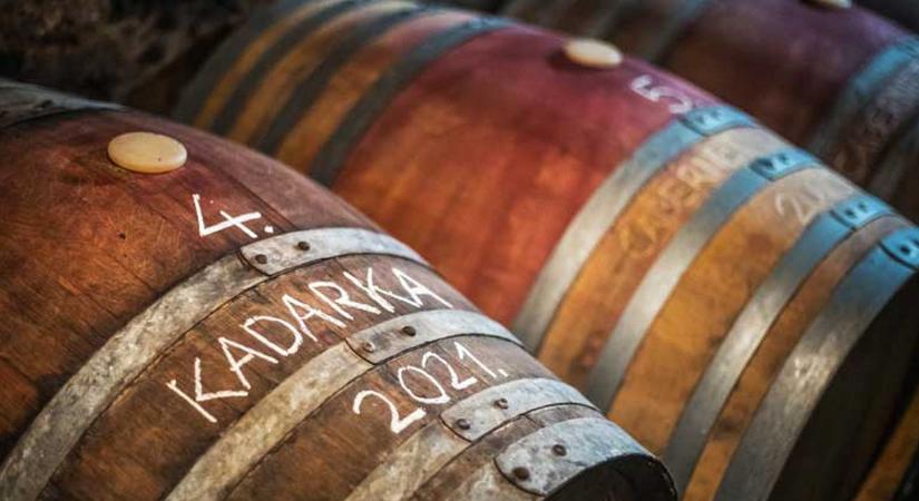 A magyarok 37 százaléka szívesen kóstolna bio bort