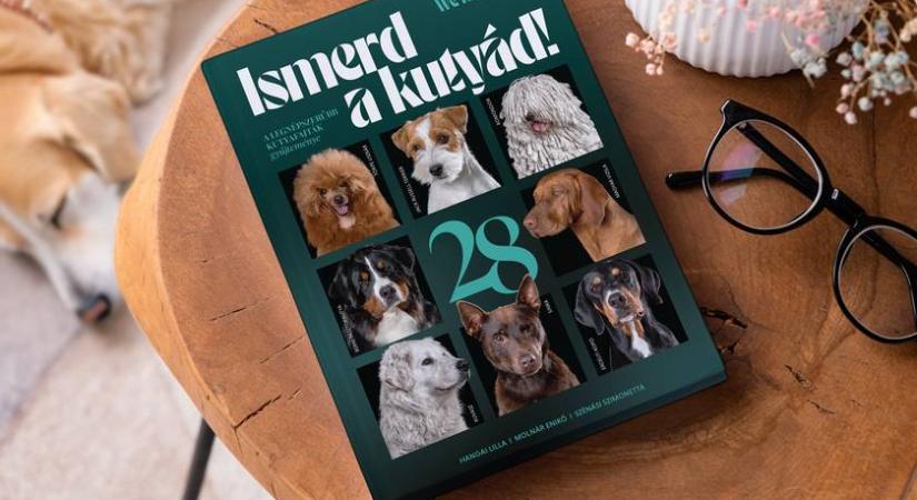 Milyen kutya illik hozzád? – Megjelent a We Love Dogz újító szemléletű fajtakalauza
