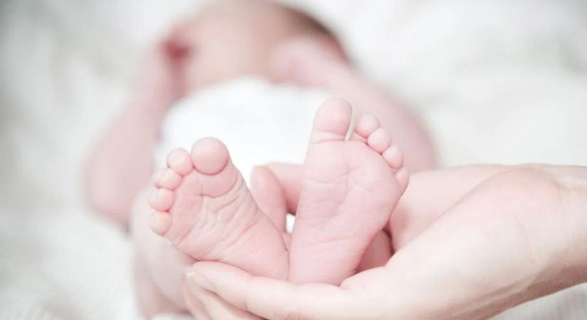 Isten hozott Hunor, Flóra, Dorián és Blanka! - ők a legfiatalabb Vas vármegyeiek