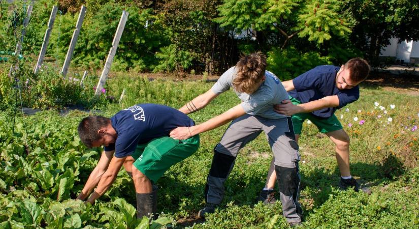 Az ország legjobb mezőgazdasági technikuma lett, de mi a titka a makói iskolának?