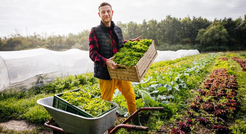 Ezt sokan elhibázzák: a hazai sztárkertész elárulta, ezek lesznek a 2026-os kertek nagy nyertesei