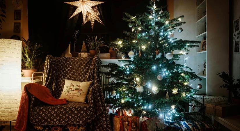 Így állítsd fel a karácsonyfát profin – 8 lépésben, stressz nélkül
