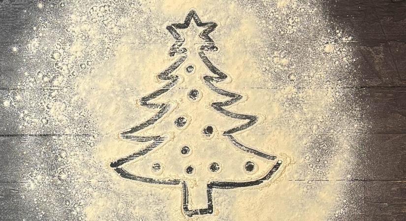 Fogyatékkal élő felnőtteknek gyűjt a Marosvásárhelyi Nemzeti Színház