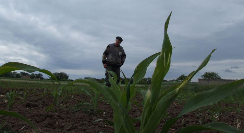 Emberre is veszélyes vegyszert vontak ki a mezőgazdaságból