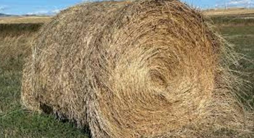 Szénabála nyomta össze a gazdát Ausztriában