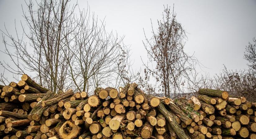 Figyelem! Ez a fontos szolgáltatás is szünetel a karácsonyi és újévi időszakban