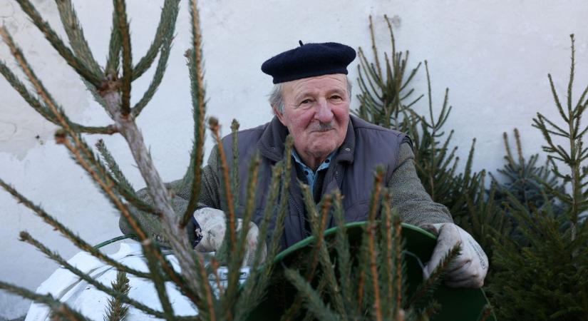 Úgy viszik a fenyőfát és a bejglit a piacon, mintha nem lenne holnap – már csak öt nap van karácsonyig