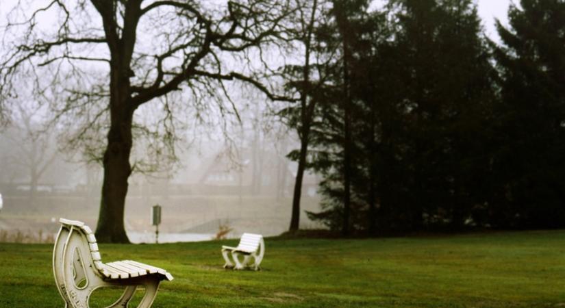 Mutatjuk, mi hullhat a nyakunkba karácsonykor