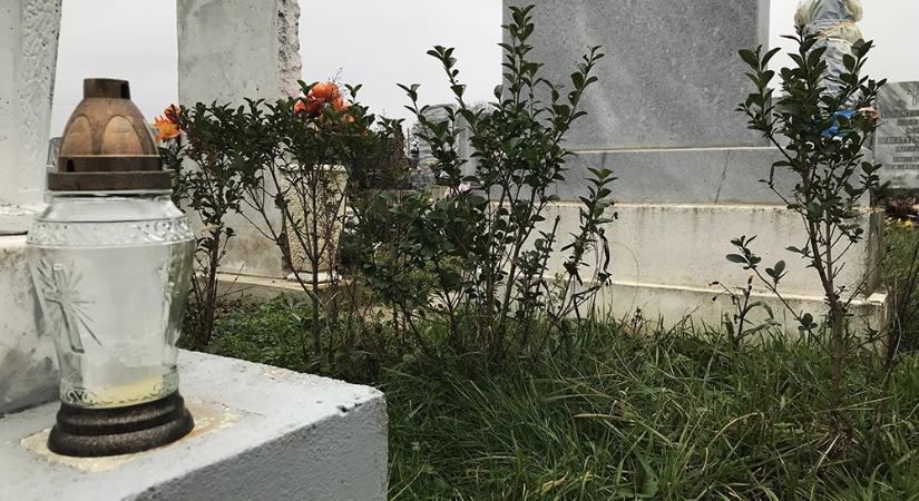 Elég imádkozni, vagy dolgozni is kellene? - merült fel a kérdés a győri temetők kapcsán