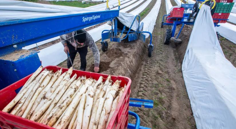 Tizenkét év alatt 60 milliárd eurót küldtek haza a külföldön dolgozó román vendégmunkások