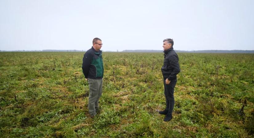 Zöld Bolygó: regeneratív mezőgazdasági módszerek a föld megújulásáért