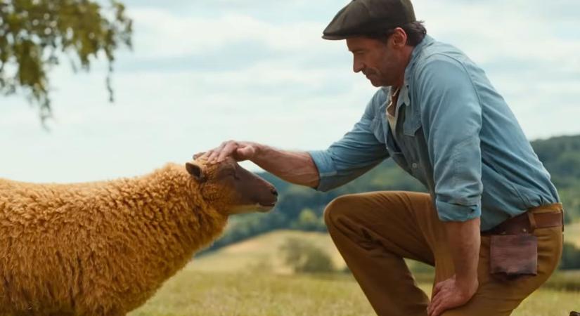 Végre előzetest kapott Hugh Jackman báránydetektíves vígjátéka!