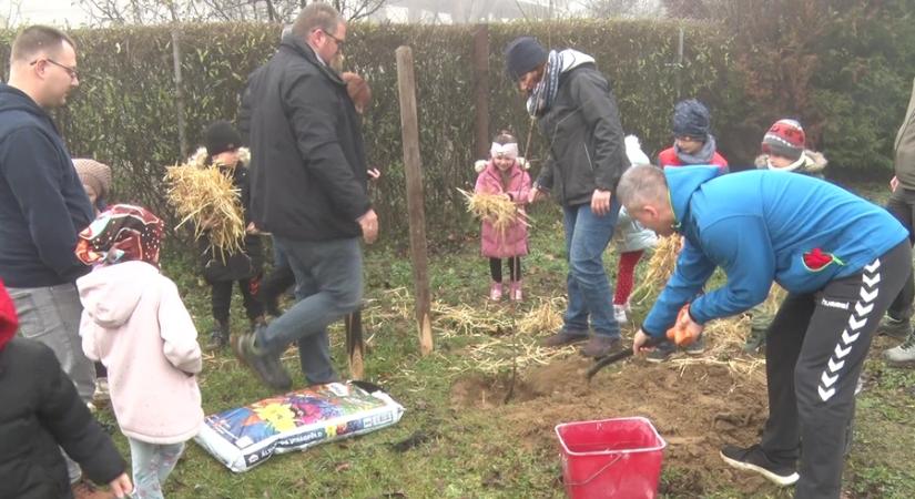Gyümölcsfák a jövőért Zalakomárban