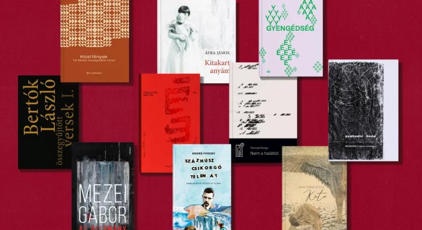 Mutatunk tíz idei verseskötetet, amit kár lenne kihagyni