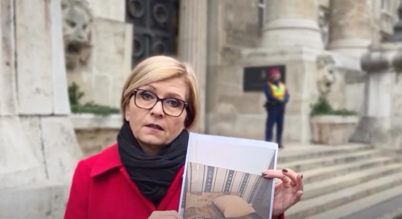 Fotós bizonyítékkal jelentkezett az ügyészségnél Kálmán Olga a Szőlő utcai nyomozás miatt