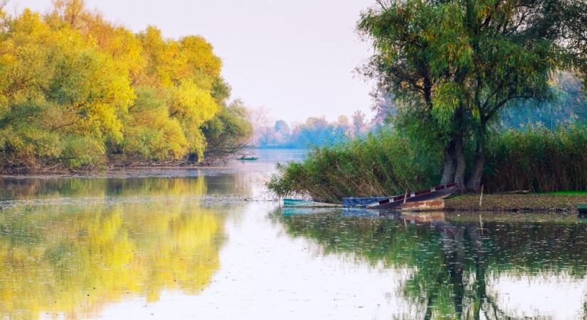 Komoly problémák vannak a Tiszánál: ez most nagy bajt okozhat