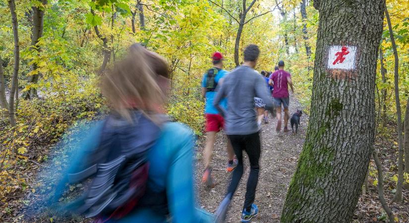Karácsonyi ajándék az erdőjáróknak: elkészült a Budakeszi Vadaskert új tanösvénye
