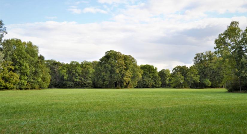 Egymilliárd forintos fejlesztés kezdődik ezen a hazai védett területen