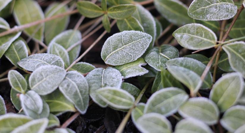 Időjárás: Karácsonyig így marad  VIDEÓ