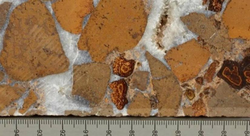 Szénelnyelőket fedeztek fel az óceán mélyén