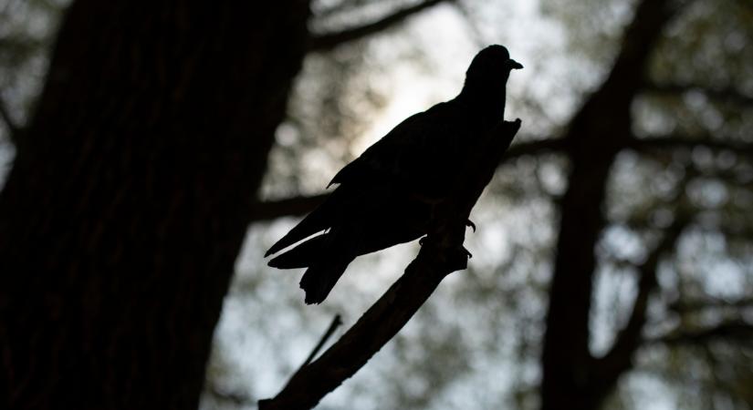 Ezzel a 3 mondattal leplezi le magát: boldogtalan a pasid melletted