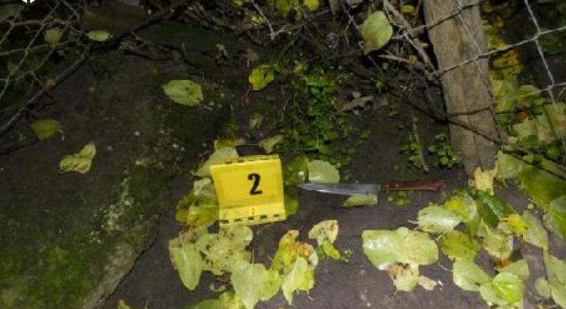 Meglátogatta a volt párját a férfi Nagykáta környékén: majdnem belehalt