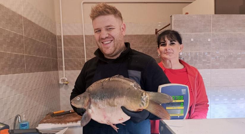 Ezt a kétfajta halat keresi mindenki karácsonyra – a tavalyihoz képest ezek az árak (galéria)