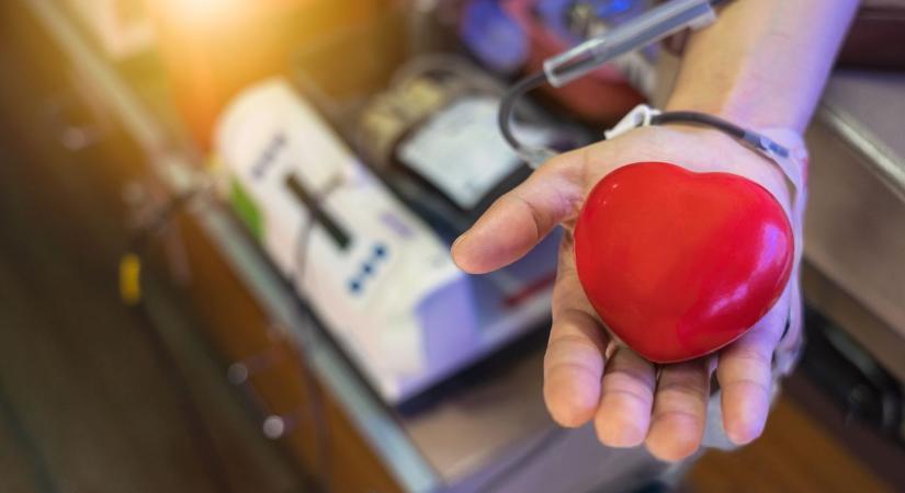 Egész évben fontos a vér!