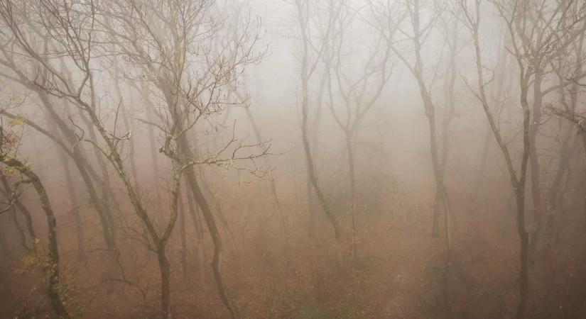 Borult ég alatt telik a hétvége - nyirkos napok jönnek