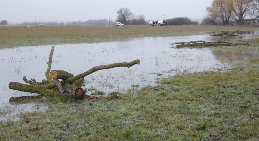 Eláraszt a víz egy martfűi legelőt, kiderült, honnan tör elő a rengeteg víz