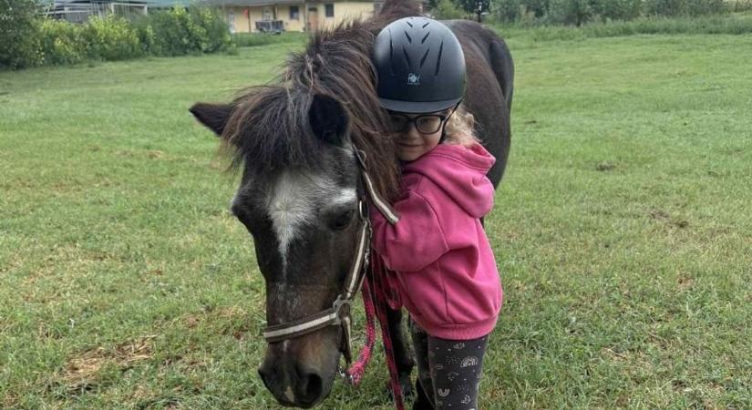 Bóbita, a cirkuszból nyugdíjba vonult póni tanítja a gyerekeket lovagolni Győrszentivánon, a paci egy egyéniség - fotók, videó