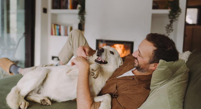 A kutyád már azelőtt tudja, hogy kivel illesz össze, mielőtt te rájönnél