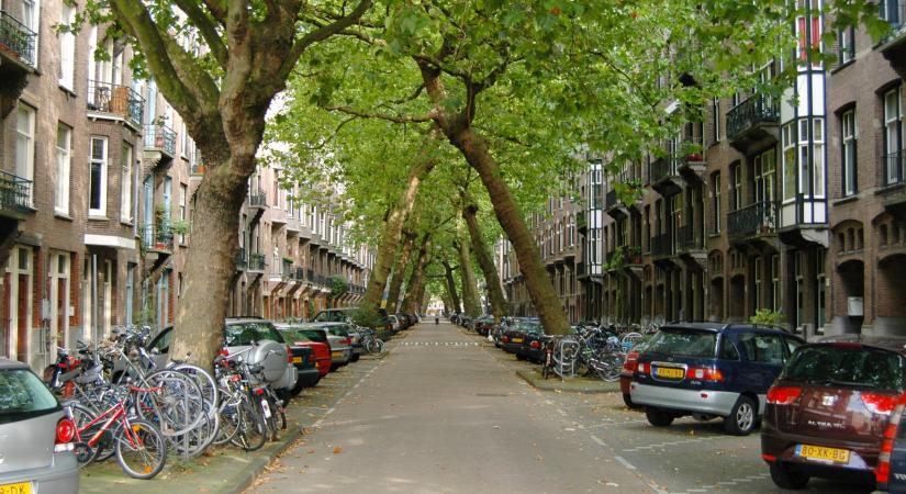 Senki nem mondta, hogy csak függőleges fákból állhat egy fasor