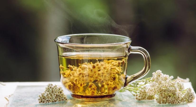 A legjobb gyógyteák 40 feletti nőknek - a hőhullámoktól a rossz alvásig számos panaszt enyhíhetnek