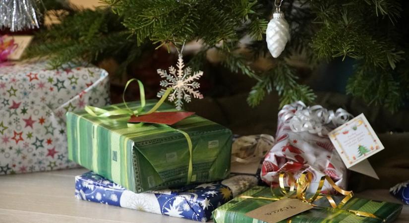 Növekvő tűlevélhegyek, fogyatkozó türelem – hogyan éljük túl az ünnepi fenyőtartást?