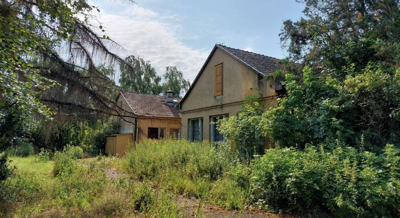 Vérfagyasztó felirat, ismeretlen folyadékok: sötét titkokat rejt az elhagyatott kísérleti sertéstelep