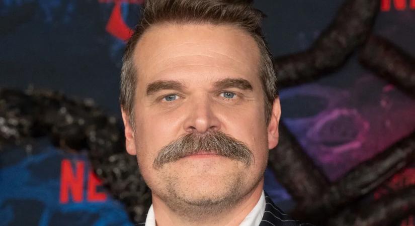 „Na gyere haver, ha akarsz valamit” – David Harbour meglopta egy rajongóját, majd bele is kötött