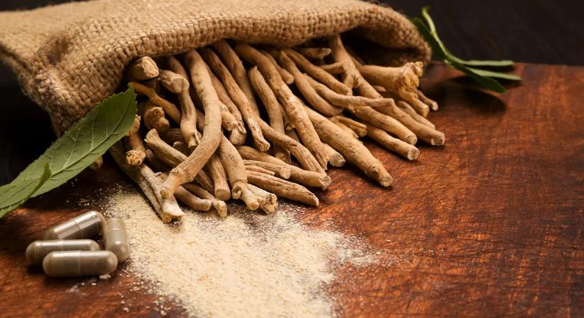 Ez a gyógynövény elképesztően hatékony stressz, fáradtság és alvászavarok ellen