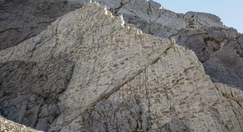 Az olasz Alpokban dinoszauruszok nyomainak ezreit fedezték fel