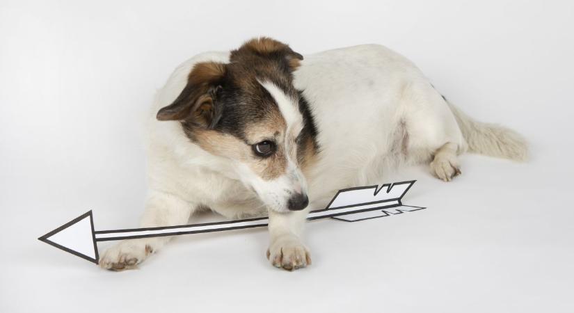 Napi horoszkóp 2025. 12. 20.: Tartsd meg vagy dobd el?