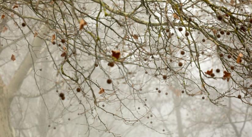 Szombaton sem szabadulunk a ködtől