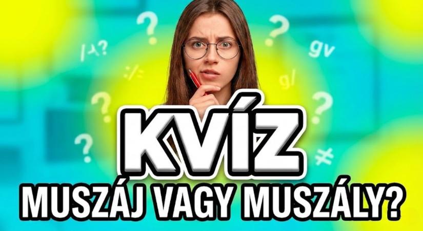 Helyesírási kvíz: 10 gyakori nyelvi malőr, amit még a legjobbak is elrontanak! Te vajon hányat találsz el?