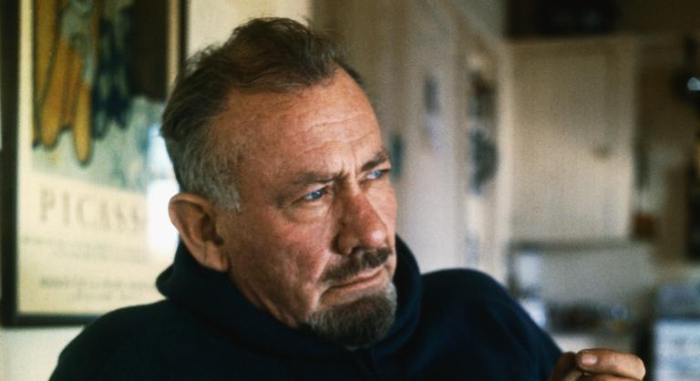 Az író, aki megérlelte a gyümölcsöt, és Nobel-díjat is kapott érte