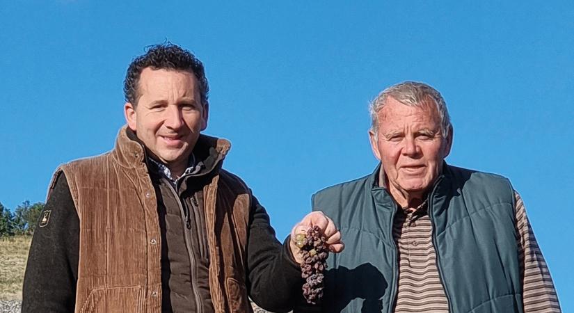 Pezsgők, aszúk, tradíciók